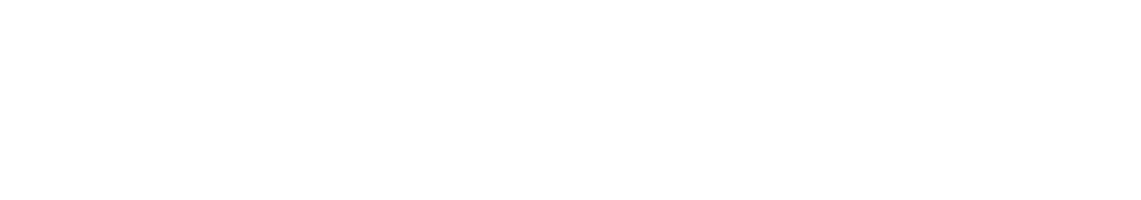 Weilion Logo